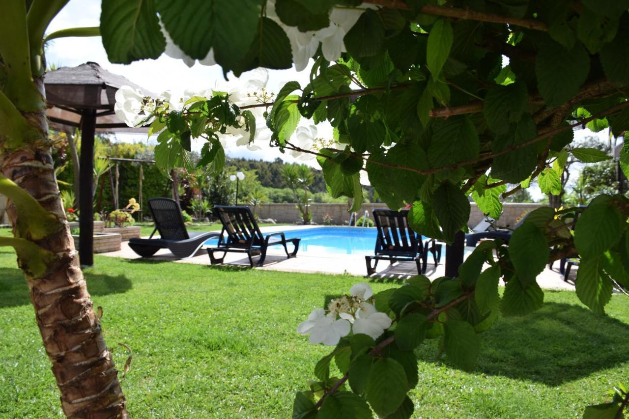 Alagoas4Family - Country House Arouca Eksteriør billede